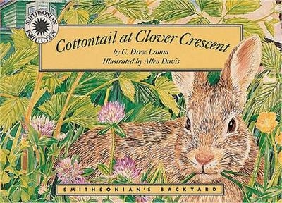 Cottontail at Clover Crescent - C.Drew Lamm