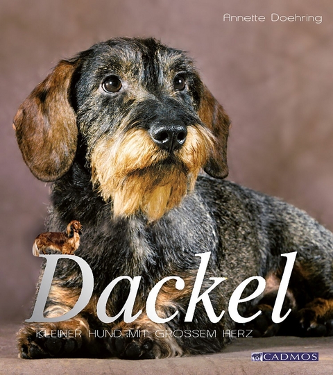 Dackel - Anette Doering