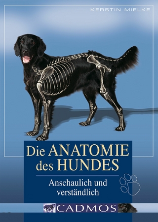 Die Anatomie des Hundes