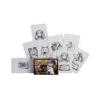 You Belong to the Universe