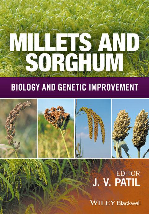 Millets and Sorghum - 