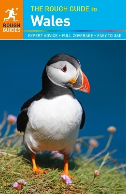 The Rough Guide to Wales - Catherine Le Nevez, Mike Parker, Paul Whitfield, Rough Guides