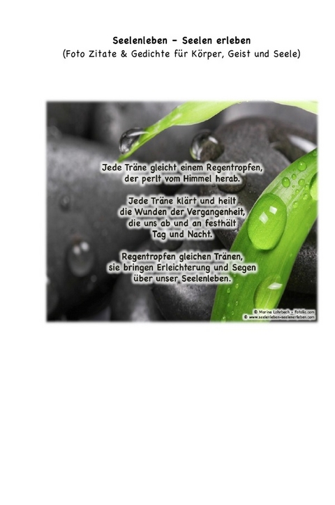 Seelenleben - Seelen erleben - Manipura Dantian