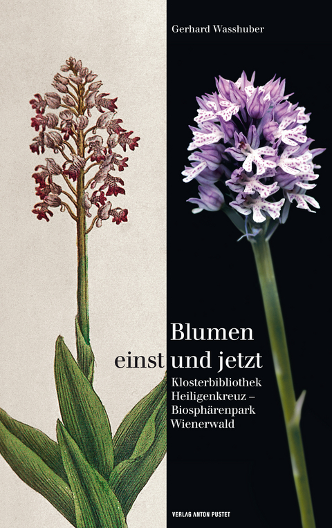 Blumen einst und jetzt - Gerhard Wasshuber