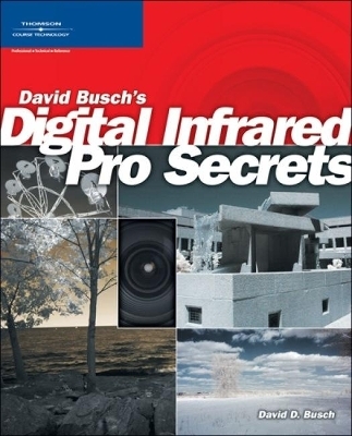 David Busch&rsquo;s Digital Infrared Pro Secrets - David Busch