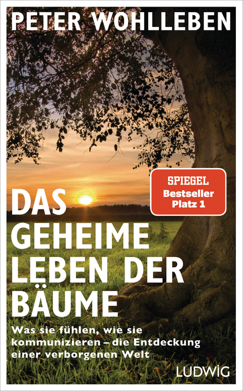 Das geheime Leben der Bäume - Peter Wohlleben