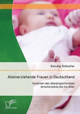 Alleinerziehende Frauen in Deutschland: Ursachen des &Atilde;&frac14;berproportionalen Armutsrisikos bis ins Alter - Solveig Schuster
