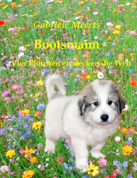 Bootsmann - Gabriele Meerts