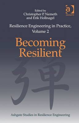 Resilience Engineering in Practice, Volume 2