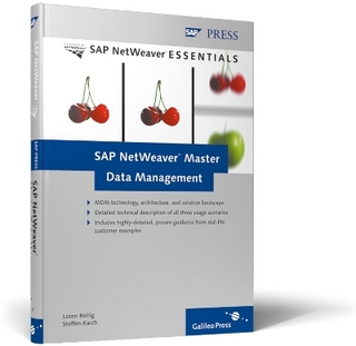 SAP Netweaver Master Data Management