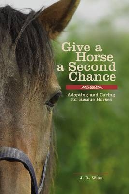Give a Horse a Second Chance