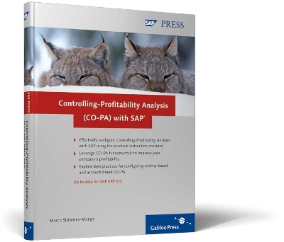 Controlling-Profitability Analysis (CO-PA) with SAP - Marco Sisfontes-Monge
