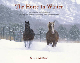 The Horse in Winter