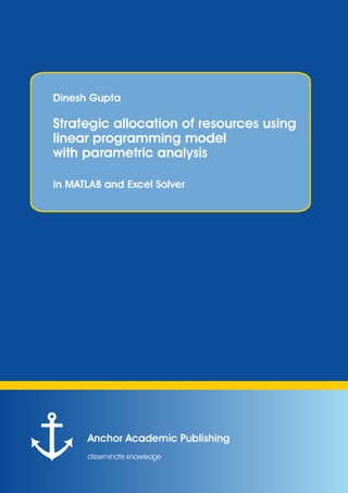 Strategic allocation of resources using linear programming model with parametric analysis: in MATLAB and Excel Solver