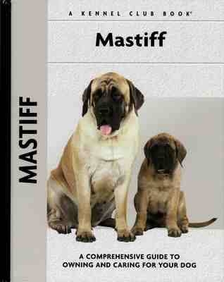 Mastiff - Christina De Lima-Netto
