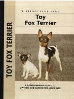 Toy Fox Terrier - Richard G. Beauchamp