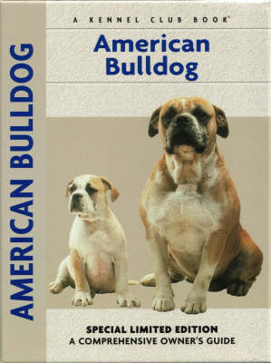 American Bulldog - Abe Fishman