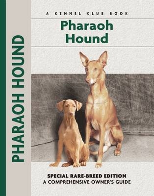 Pharoah Hound - Juliette Cunliffe