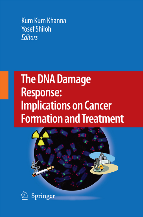 The DNA Damage Response: Implications on Cancer Formation and Treatment - 