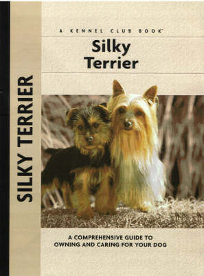 Silky Terrier - Alice Kane