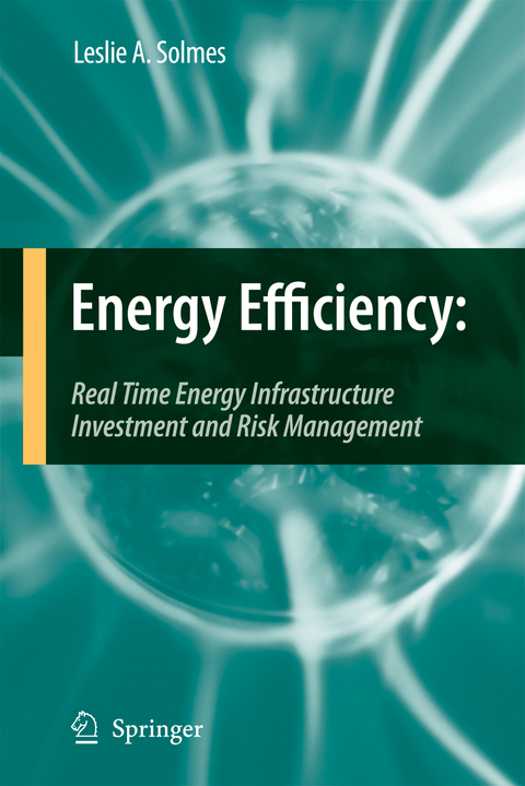 Energy Efficiency - Leslie A. Solmes