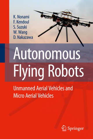 Autonomous Flying Robots