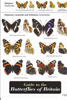Guide to the Butterflies of Britain - John Bebbington