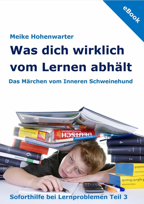 Was dich wirklich vom Lernen abh&auml;lt - Meike Hohenwarter