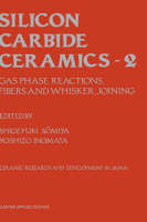 Silicon Carbide Ceramics - 