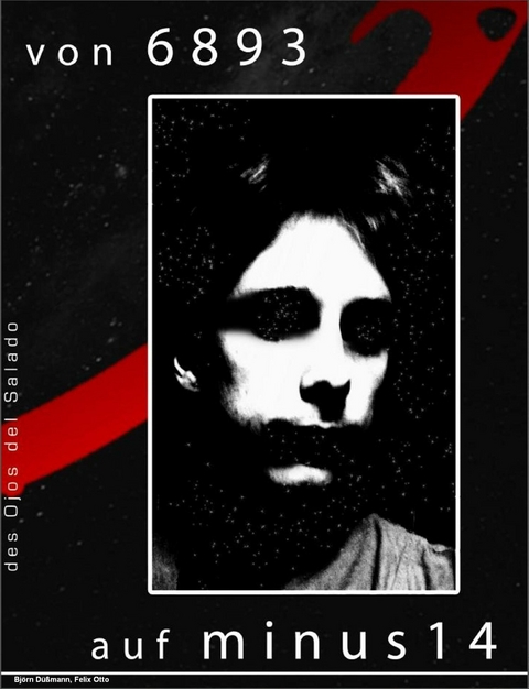 Von 6893 auf minus 14 - Bj&ouml;rn D&uuml;&szlig;mann, Felix Otto