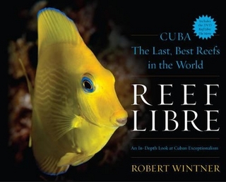 Reef Libre
