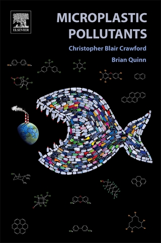 Microplastic Pollutants