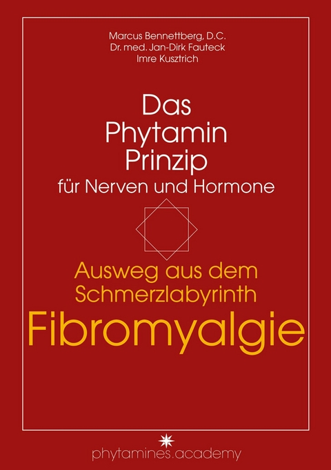 Ausweg aus dem Schmerzlabyrinth Fibromyalgie - D.C. Marcus Bennettberg, Dr. med. Jan-Dirk Fauteck, Imre Kusztrich