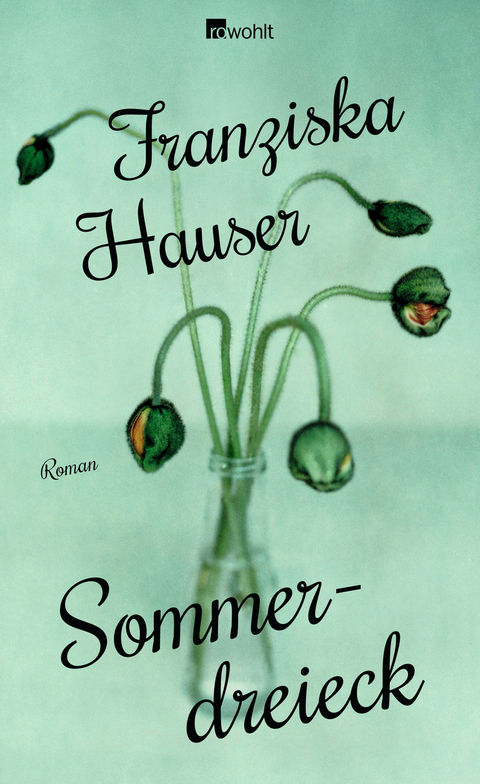 Sommerdreieck - Franziska Hauser