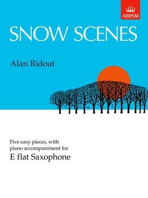 Snow Scenes - 
