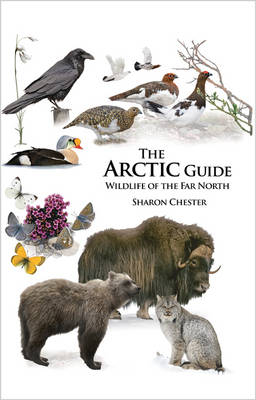 The Arctic Guide - Sharon Chester