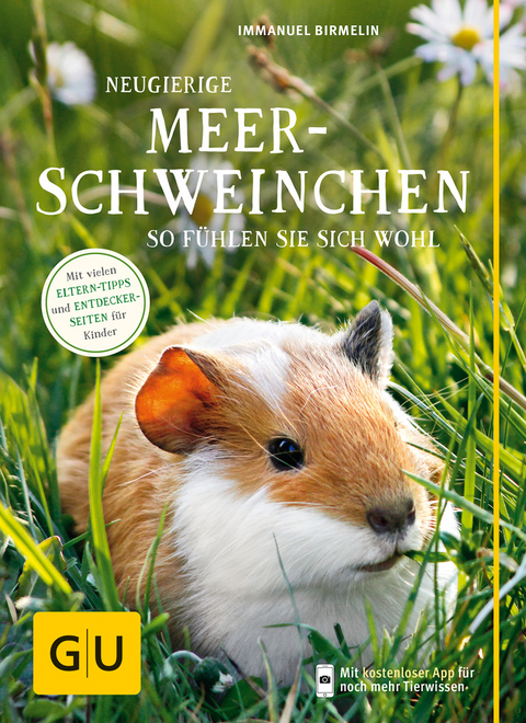 Neugierige Meerschweinchen - Immanuel Birmelin