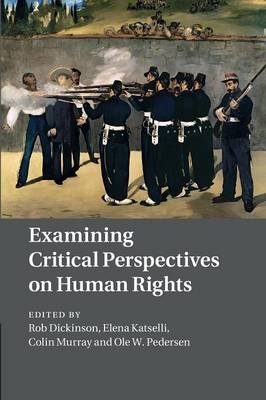 Examining Critical Perspectives on Human Rights - 