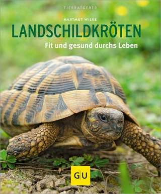 Landschildkröten