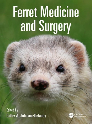 Ferret Medicine and Surgery
