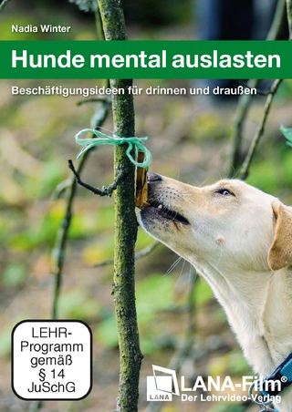 Hunde mental auslasten