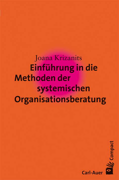 Einf&uuml;hrung in die Methoden der systemischen Organisationsberatung - Joana Krizanits