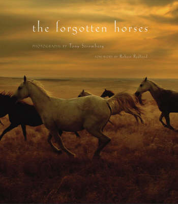 The Forgotten Horses - Tony Stromberg