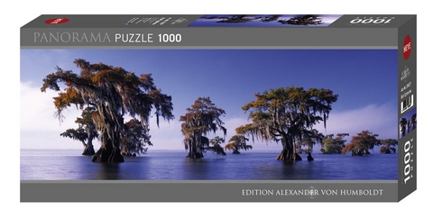 Bald Cypresses Puzzle