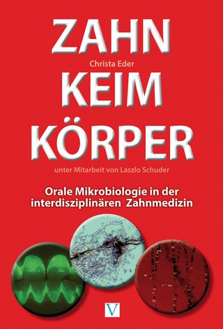 Zahn Keim Körper