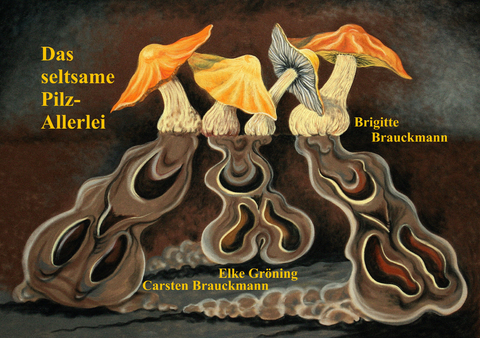 Das seltsame Pilz-Allerlei - Brigitte Brauckmann, Elke Gr&ouml;ning, Carsten Brauckmann