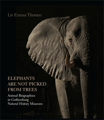 Elephants Are Not Picked from Trees - LIV Emma Thorsen