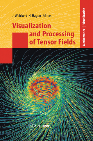 Visualization and Processing of Tensor Fields