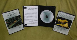 Die Libellen Nordrhein-Westfalens und darüber hinaus