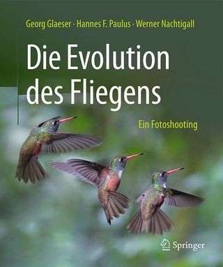 Die Evolution des Fliegens – Ein Fotoshooting